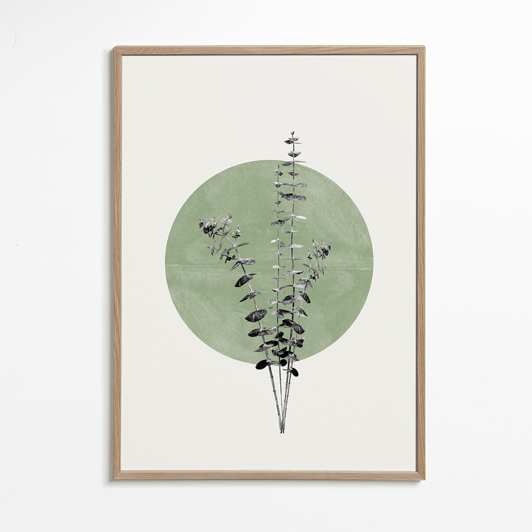 Rynx | Eucalyptus and Green Moon - THE MIUUS STUDIO