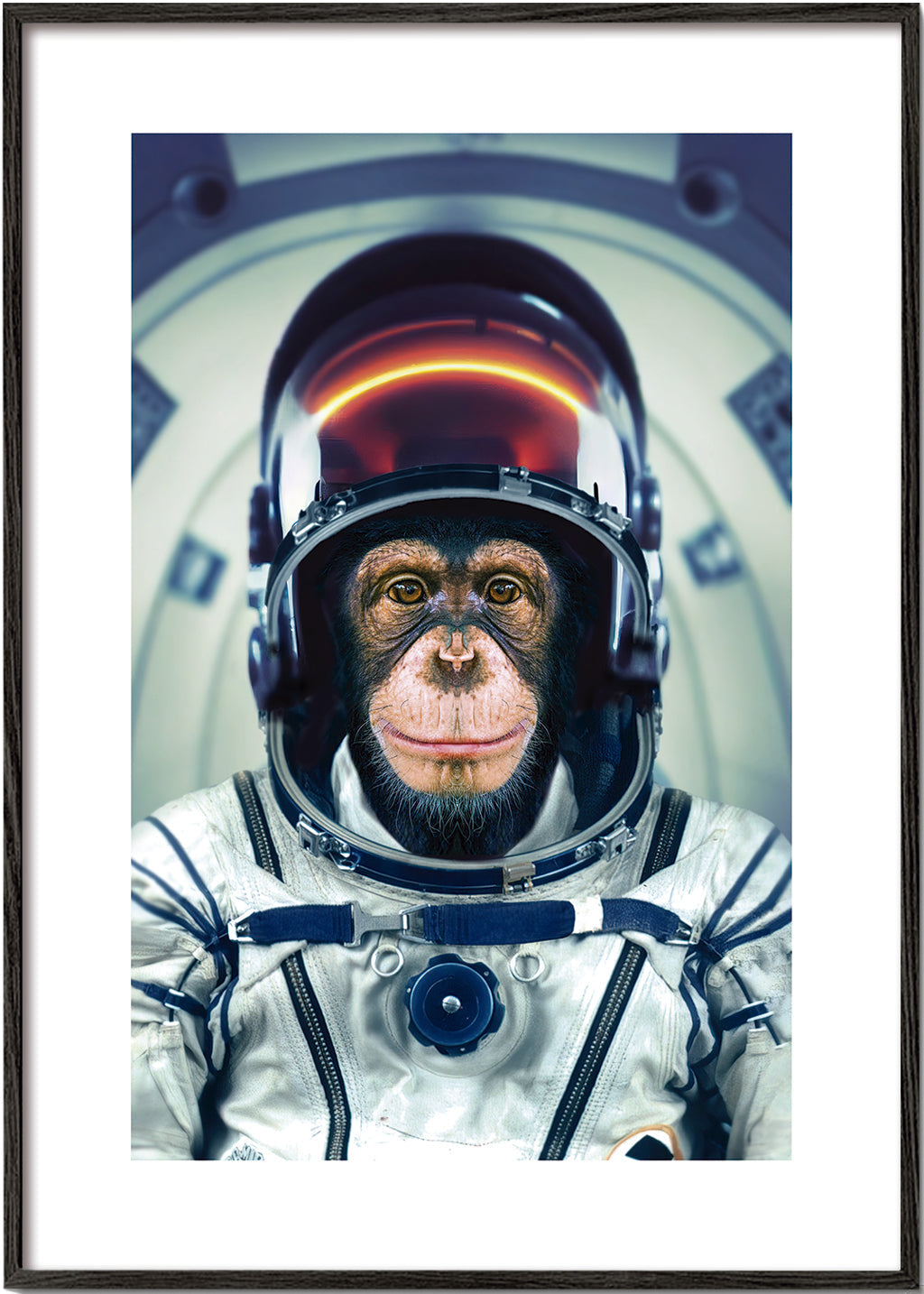 Rynx | AstroMonkey - Marcel Egger
