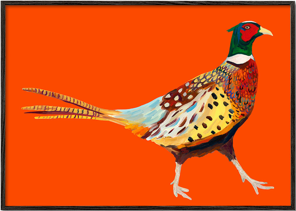 Rynx | Stoltzende Pheasant on Orange - Alice Straker