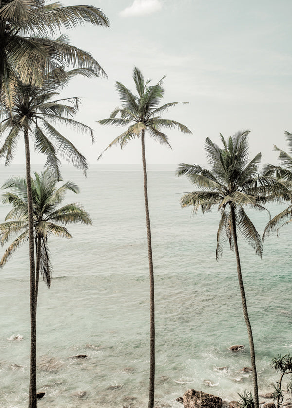 Rynx | Tropical Dreams - Recording of Clint