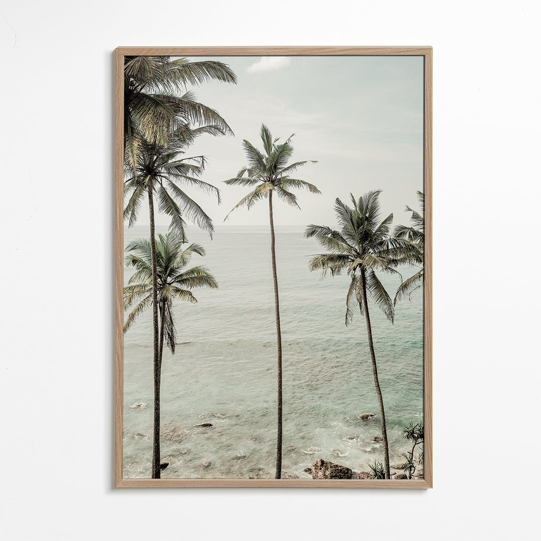 Rynx | Tropical Dreams - Recording of Clint
