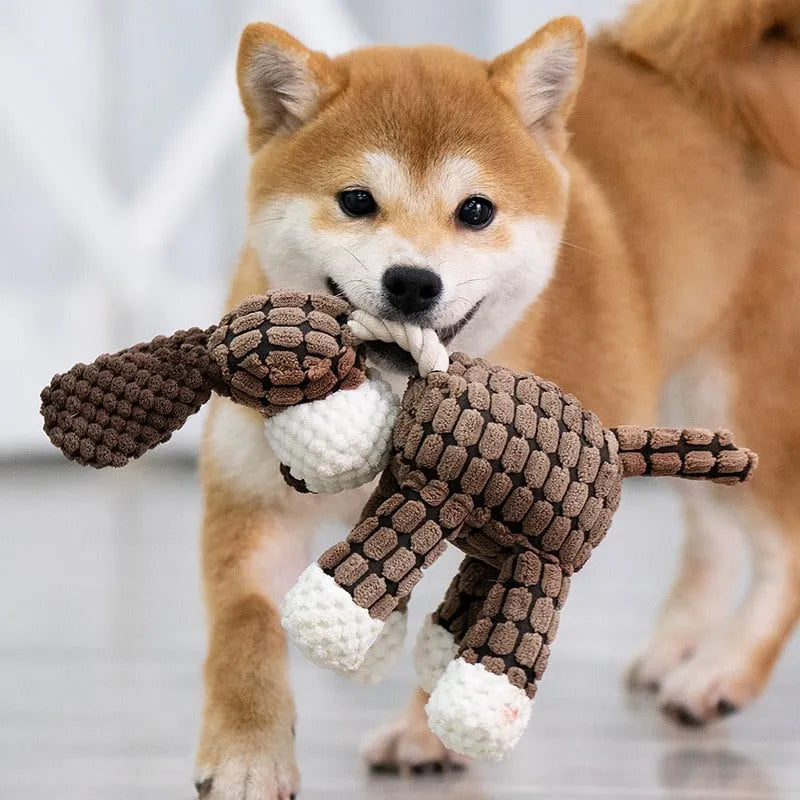 RYNX | ⏳Last Day For ⏳Squeaky Plush Toy For Dogs Rabbit