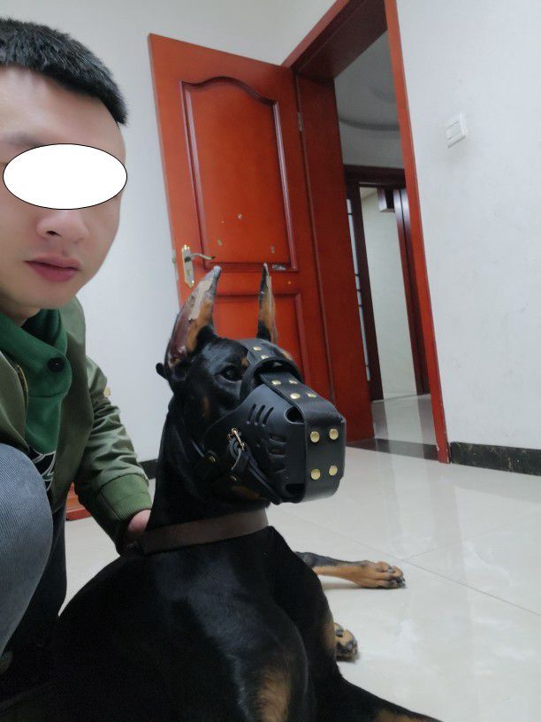 RYNX | Muzzle For Medium and Large Dogs