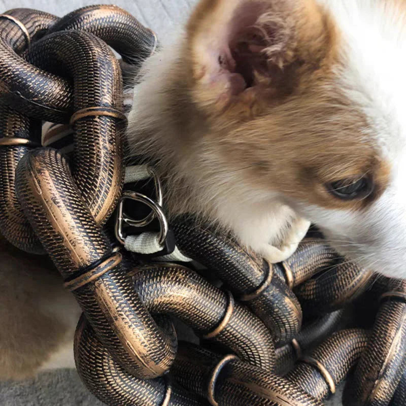 Rynx | Trendy and Fun Dog Leash - PawChic