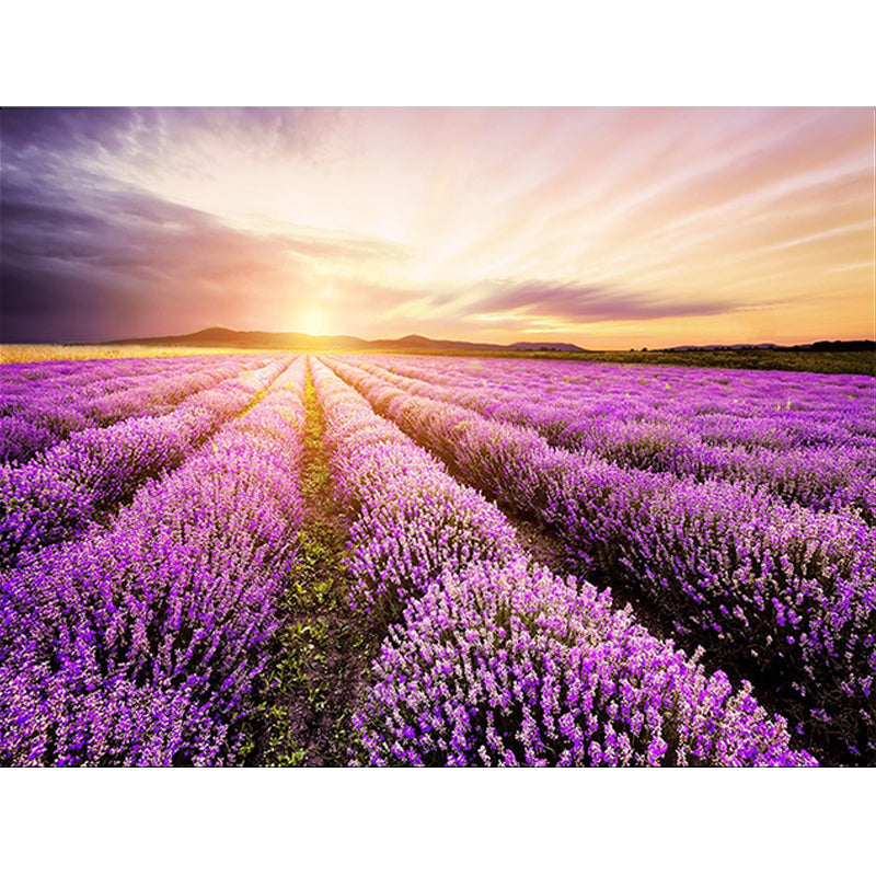 Rynx | Novelty Lavender Pattern Rug Purple Polyester Rug Machine Washable Non-Slip Area Rug for Bedroom