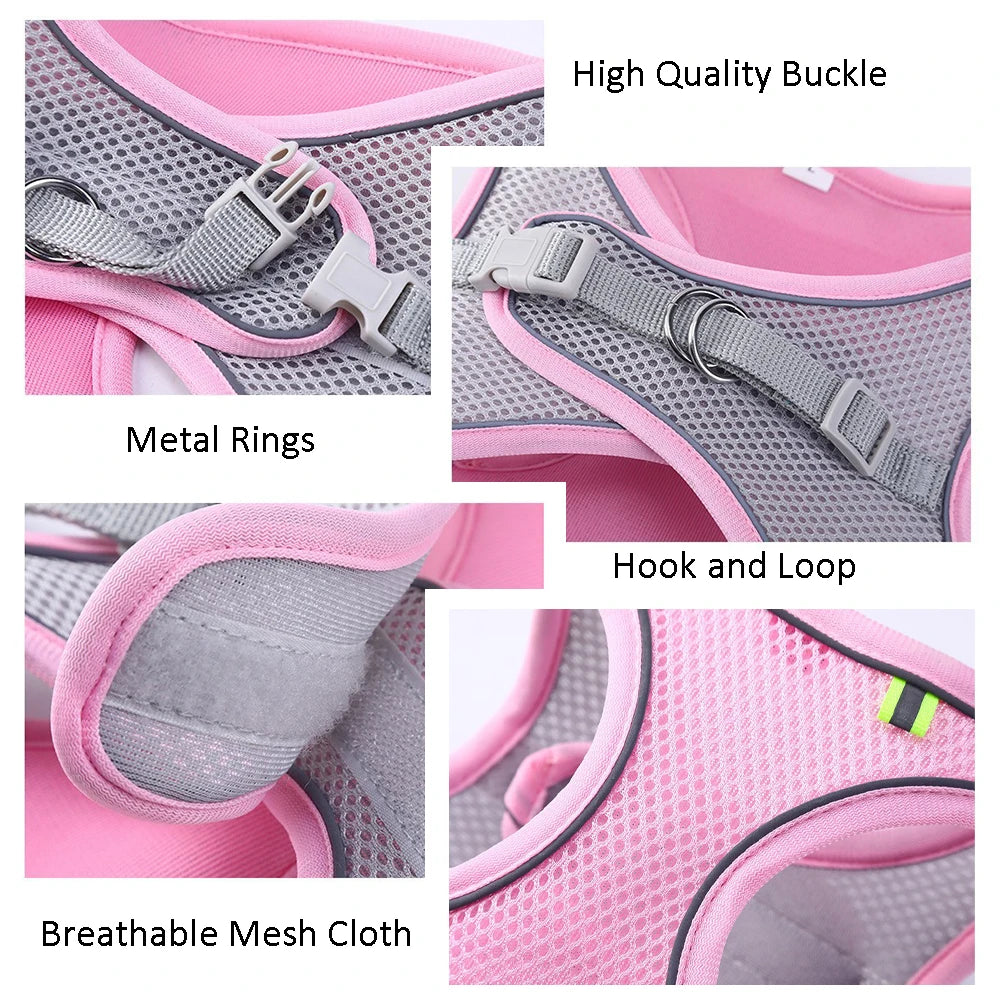 Rynx | Adjustable Summer Mesh Harness and Leash Set for Small Dogs and Cats