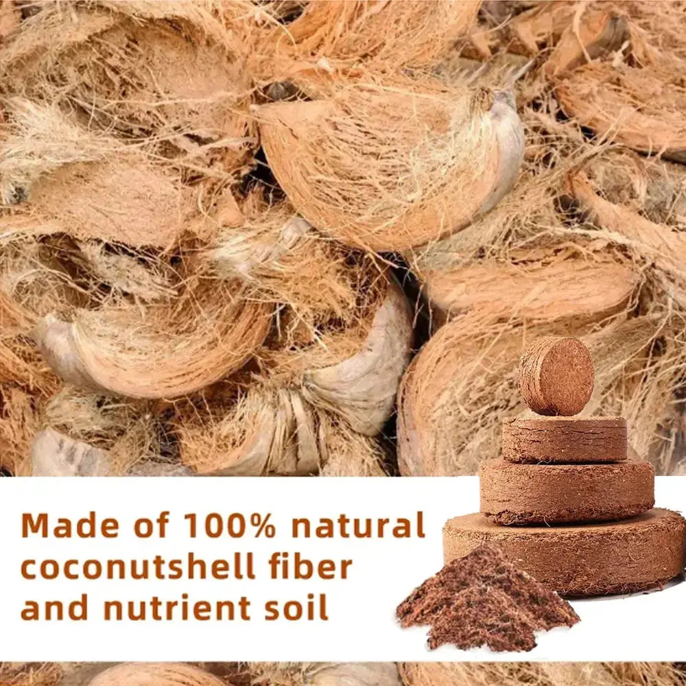 Rynx | Premium Organic Coconut Soil Brick – Promote Natural Plant Growth