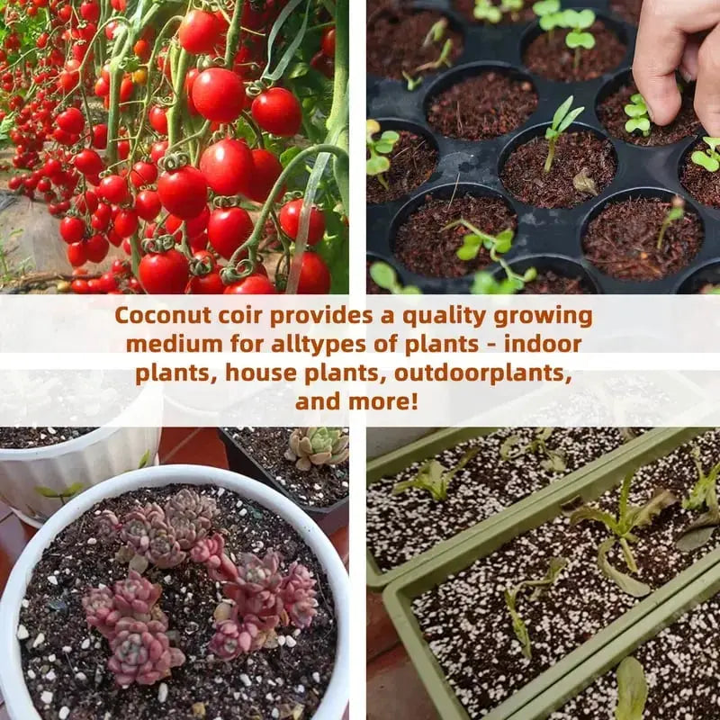 Rynx | | Premium Organic Coconut Soil Brick – Promote Natural Plant Growth