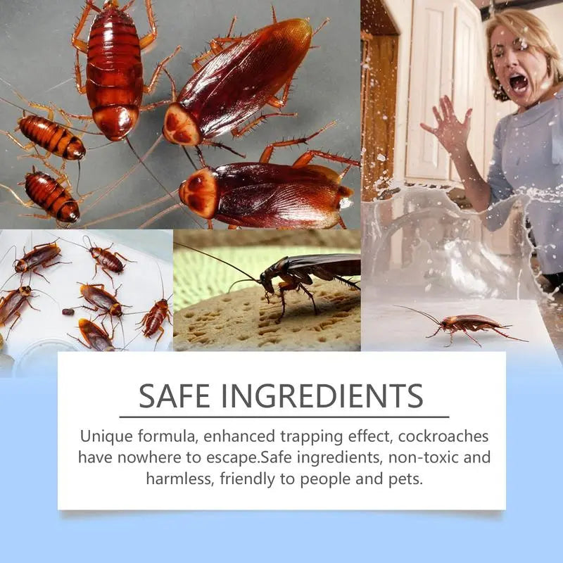 Rynx | Non-toxic cockroach traps with long-lasting effect