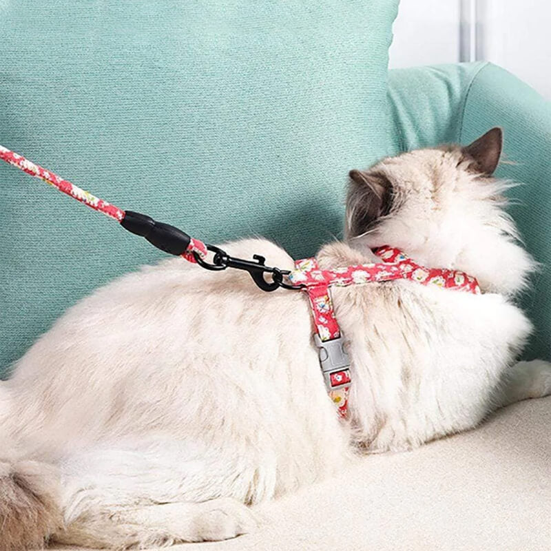 Rynx | Soft Adjustable Cat Harness and Leash Set