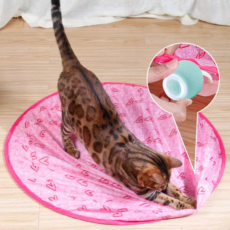 Rynx | 2-in-1 Hunting Toy for Cats – Promotes Hunting Instinct & Movement