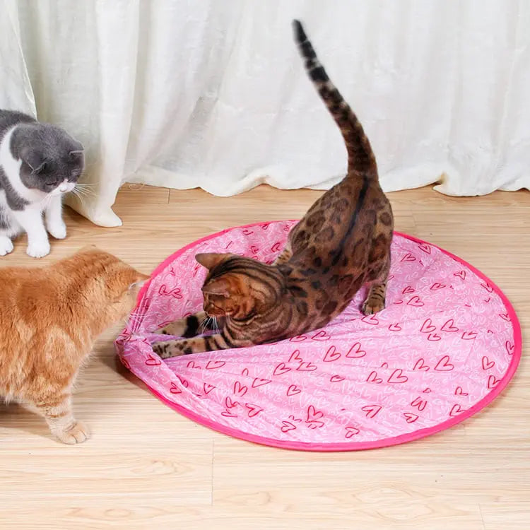 Rynx | 2-in-1 Hunting Toy for Cats – Promotes Hunting Instinct & Movement