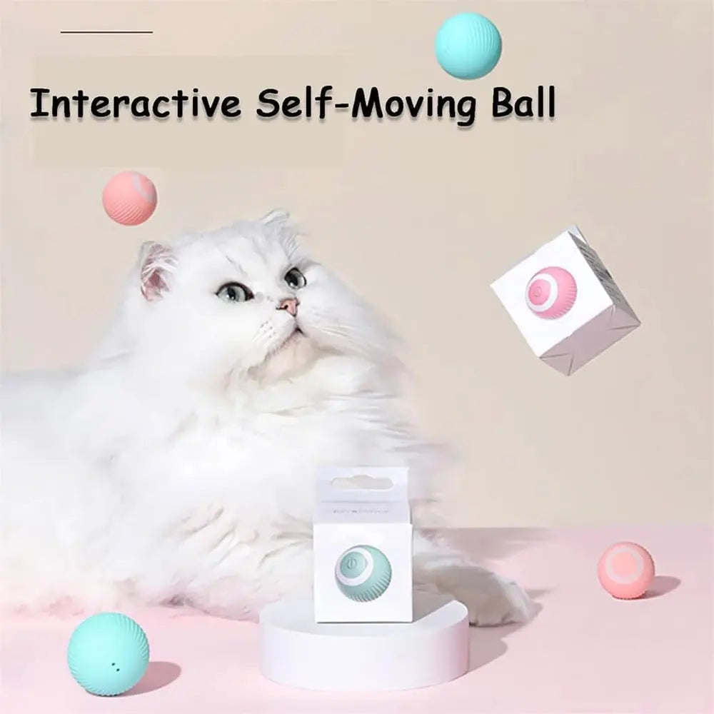 Rynx | 2-in-1 Hunting Toy for Cats – Promotes Hunting Instinct & Movement