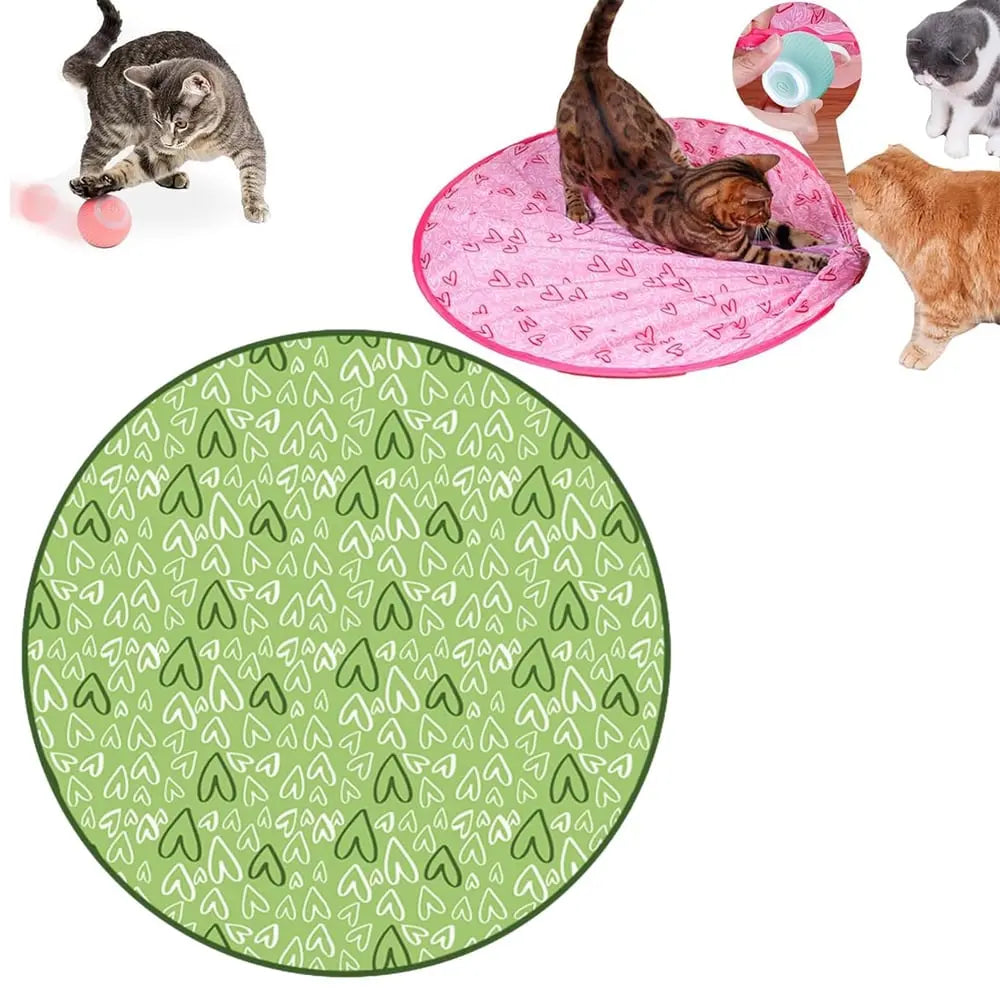 Rynx | 2-in-1 Hunting Toy for Cats – Promotes Hunting Instinct & Movement