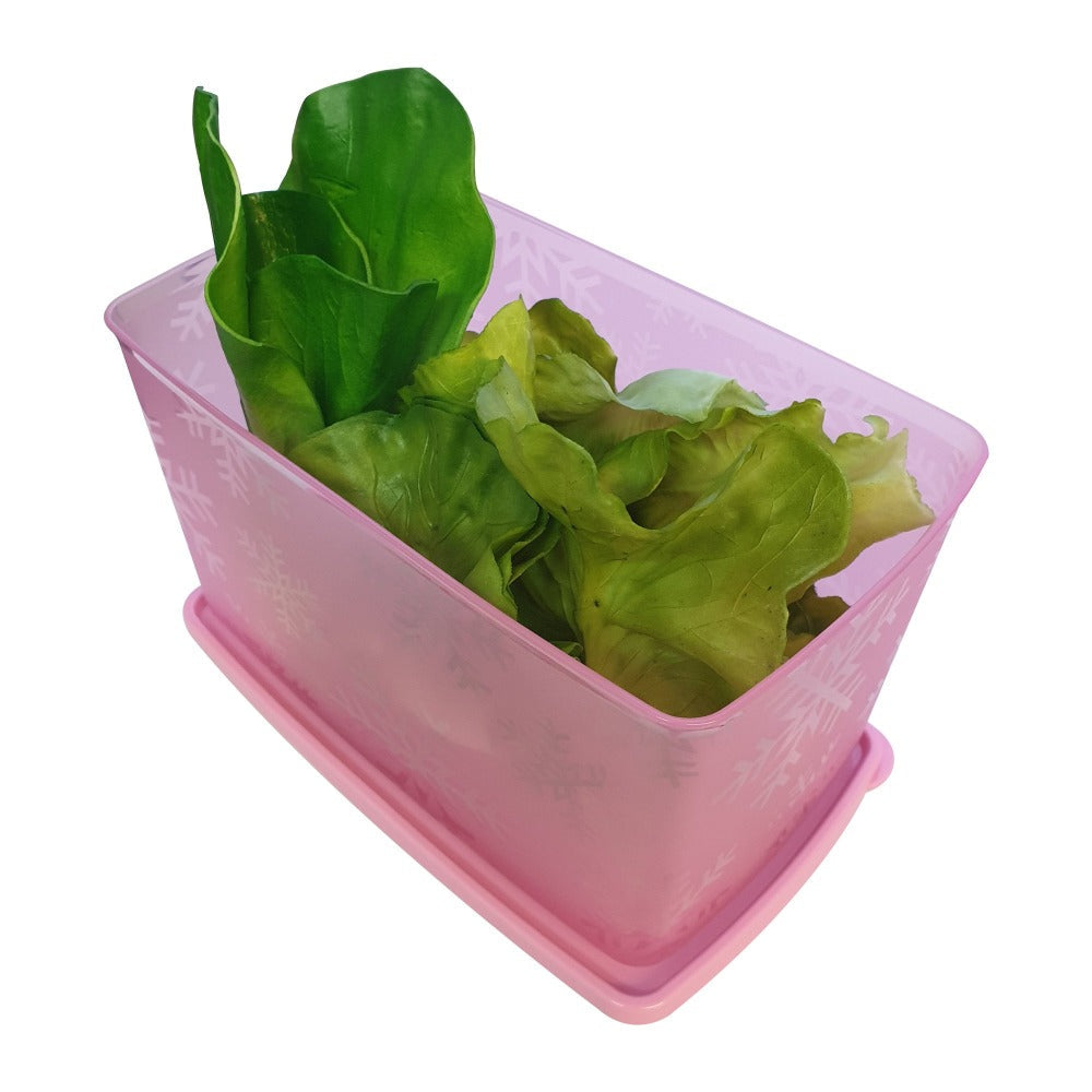 Rynx | Tupperware Snowflake Double Square Round