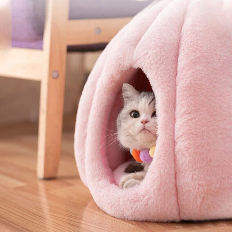 Rynx | feline fortress