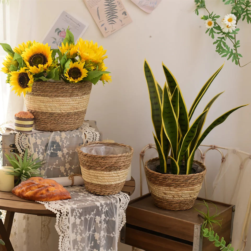 Rynx | Woven Straw Plant Basket Set