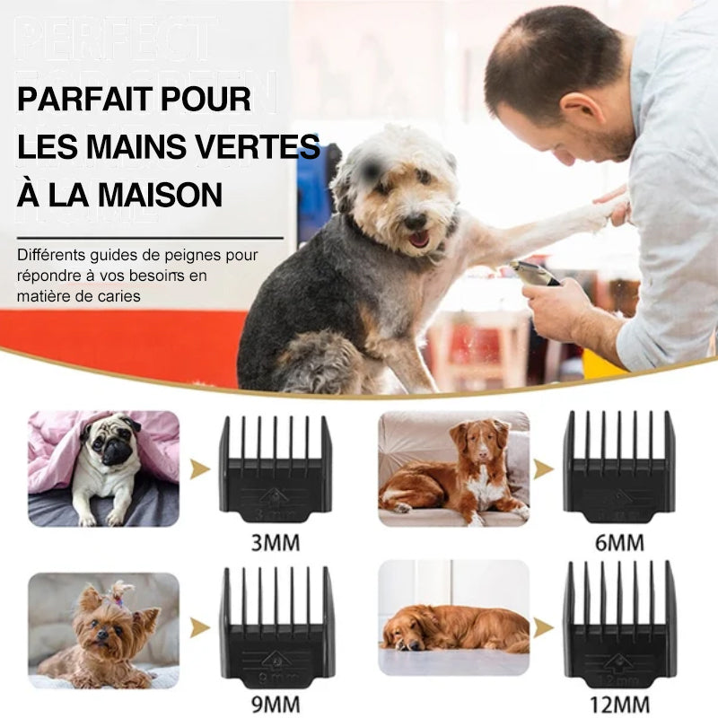 Rynx | Professional Pet Grooming Kit