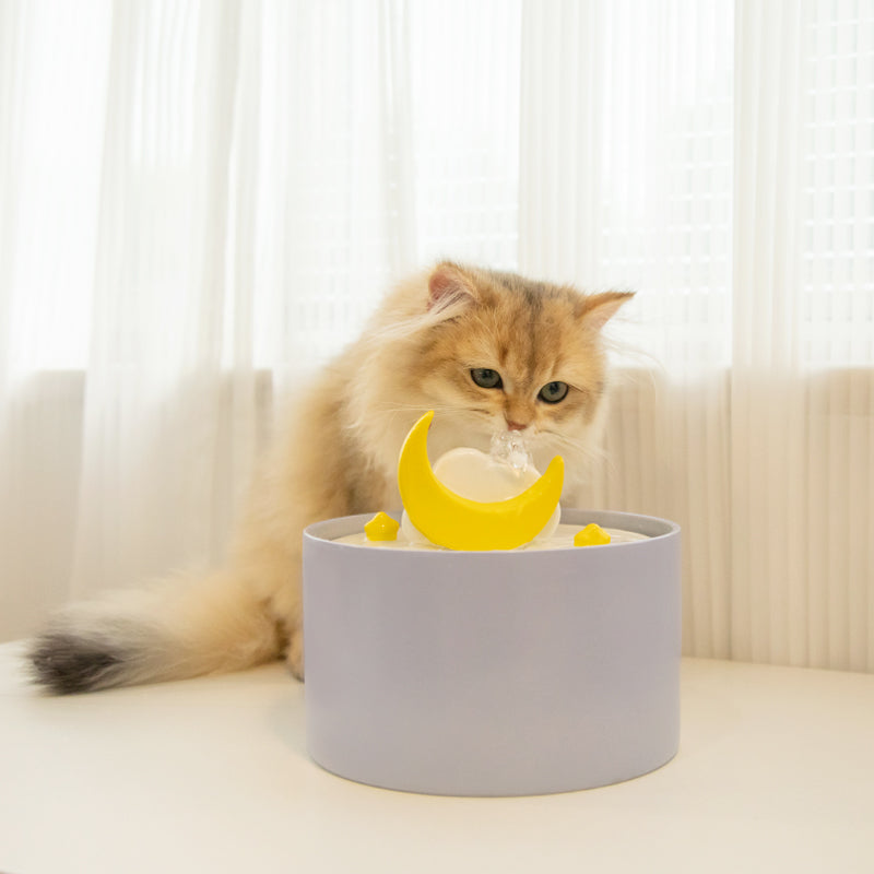 Rynx | Moonlight Cat Water Fountain