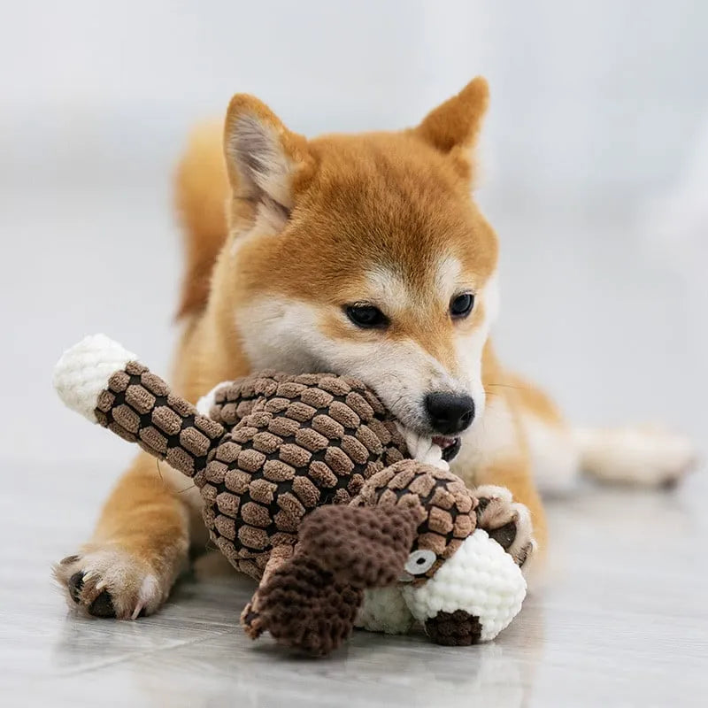 RYNX | ⏳Last Day For ⏳Squeaky Plush Toy For Dogs