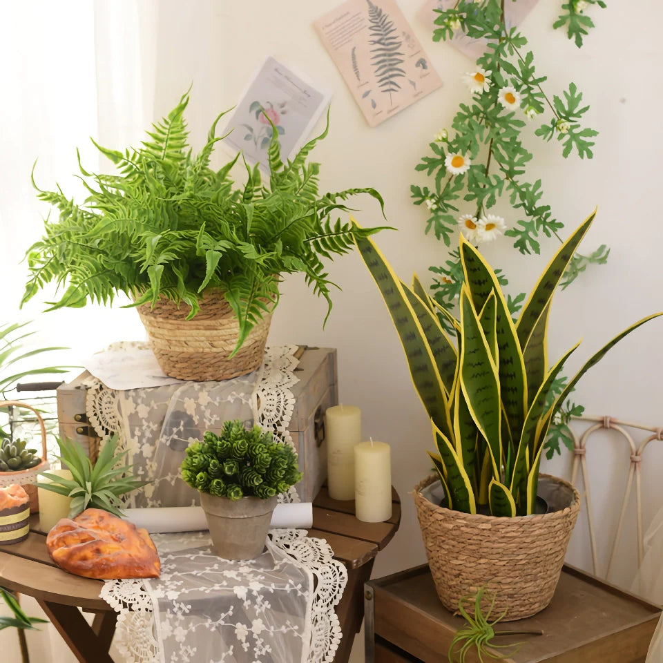 Rynx | Woven Straw Plant Basket Set