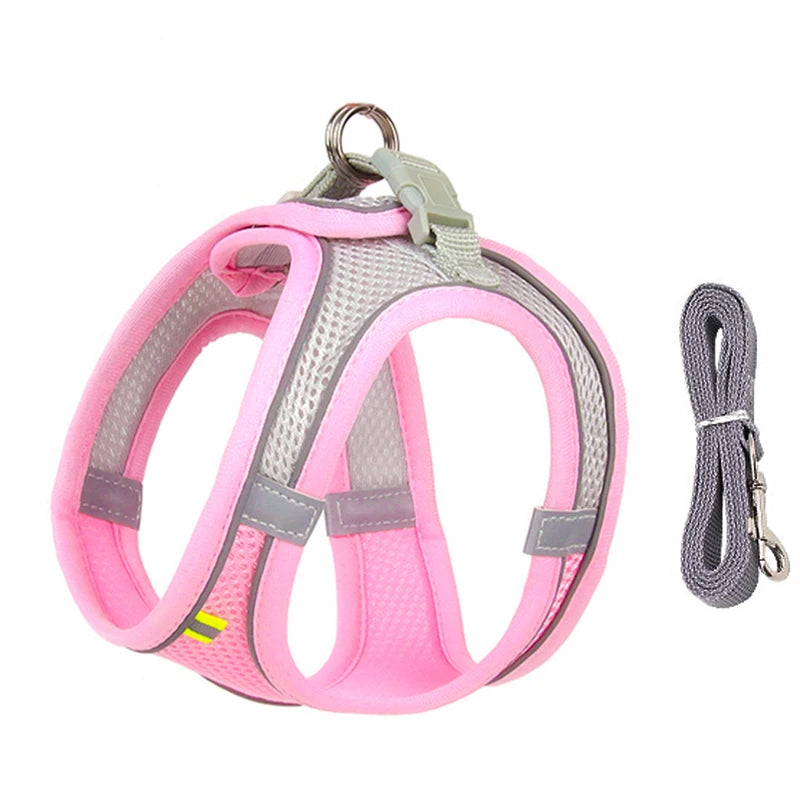 Rynx | Adjustable Summer Mesh Harness and Leash Set for Small Dogs and Cats