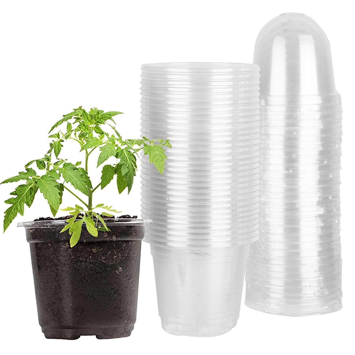 Rynx | 30 pieces: Plant nursery pots PET Flower seed starter pots Container with dome and drainage hole