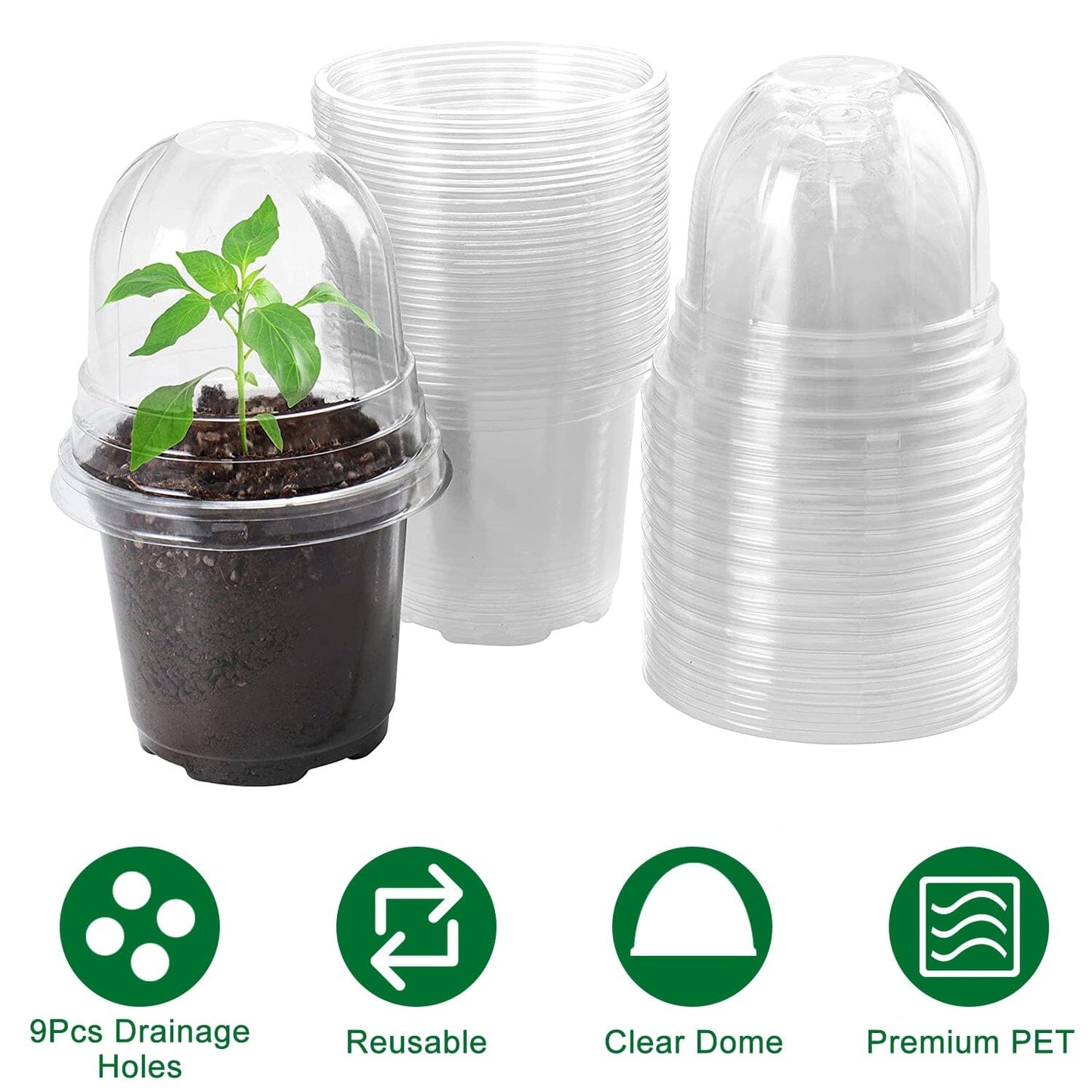Rynx | 30 pieces: Plant nursery pots PET Flower seed starter pots Container with dome and drainage hole