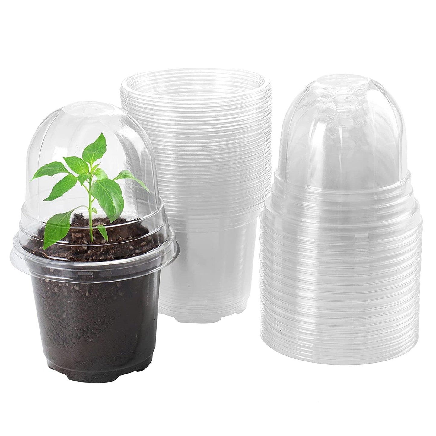Rynx | 30 pieces: Plant nursery pots PET Flower seed starter pots Container with dome and drainage hole