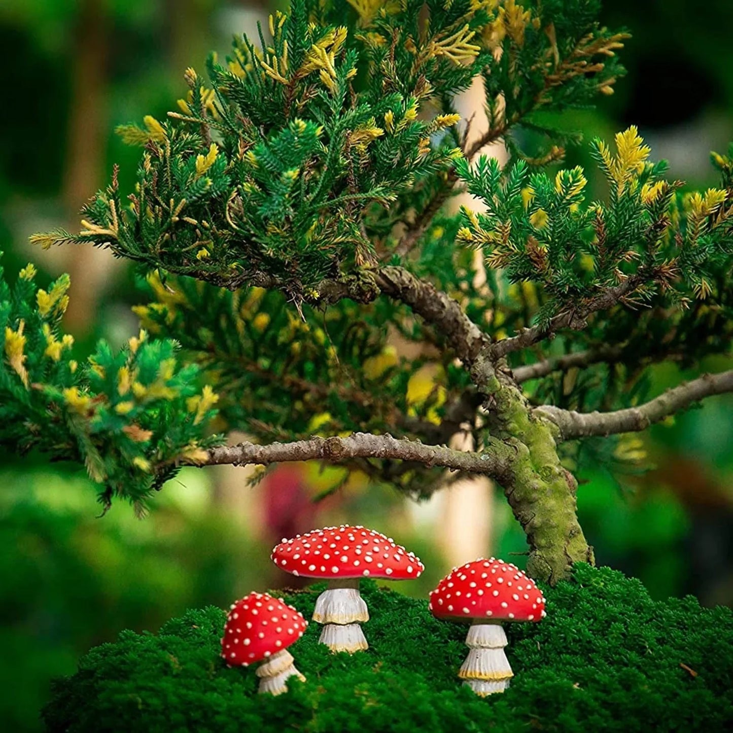 Rynx | 3pcs Fairy Mini Mushroom Solar Lights