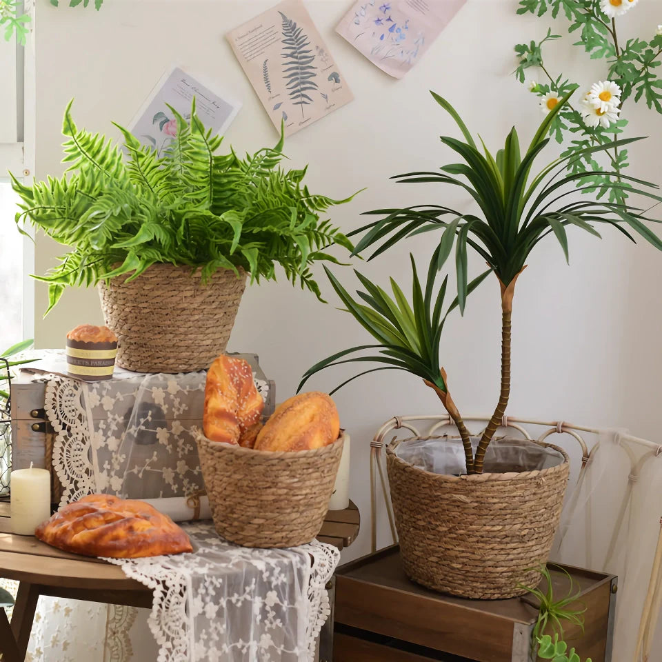 Rynx | Woven Straw Plant Basket Set