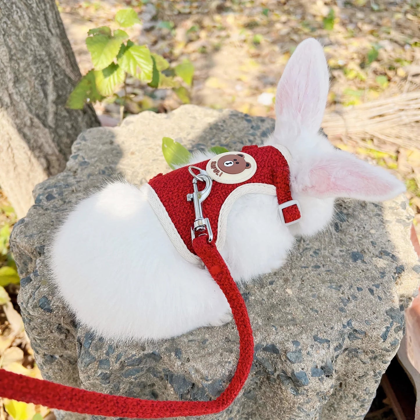 Rynx | Outdoor Rabbit & Guinea Pig Harness and Leash Set - Linen Pet Vest for Small Animals