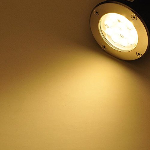 Rynx | Ledwholesalers 12V Low Voltage In-Ground Led Brown Light, 14W, Stainless Steel Trim