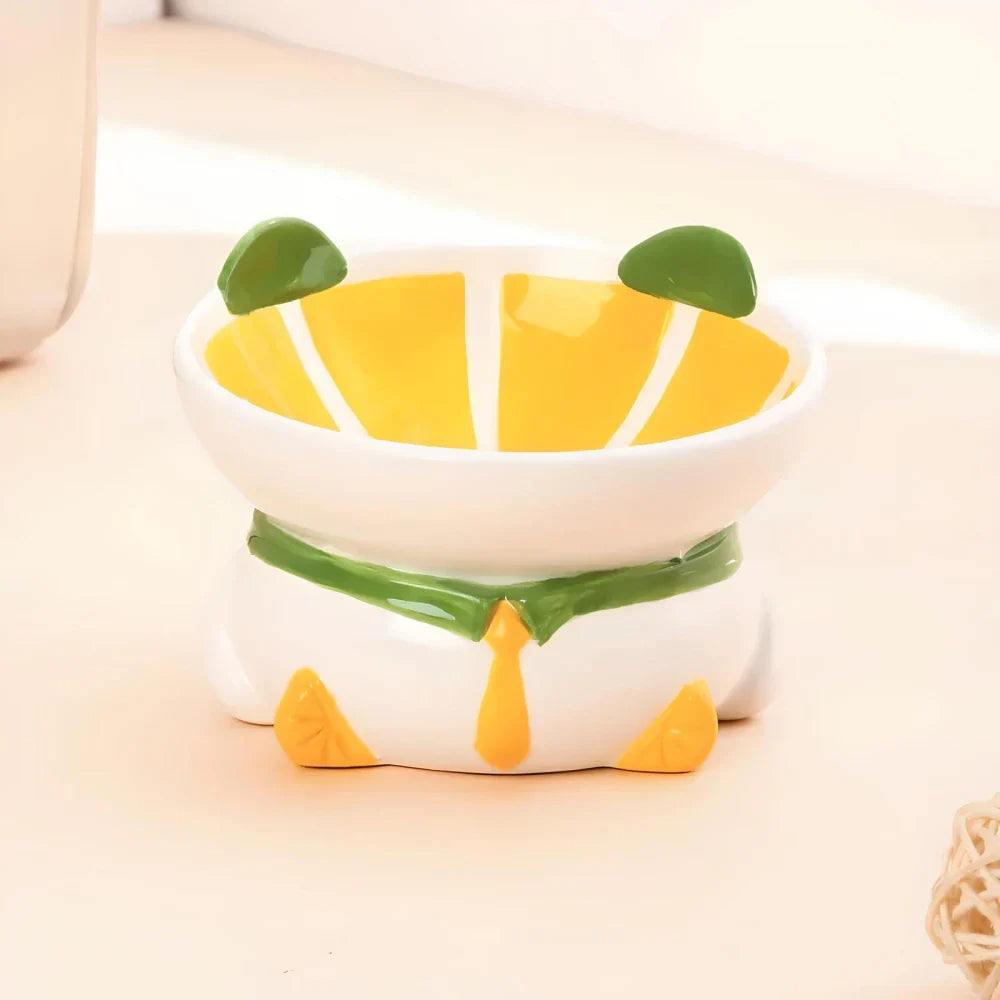 Rynx | Slanted elevated ceramic cat bowl