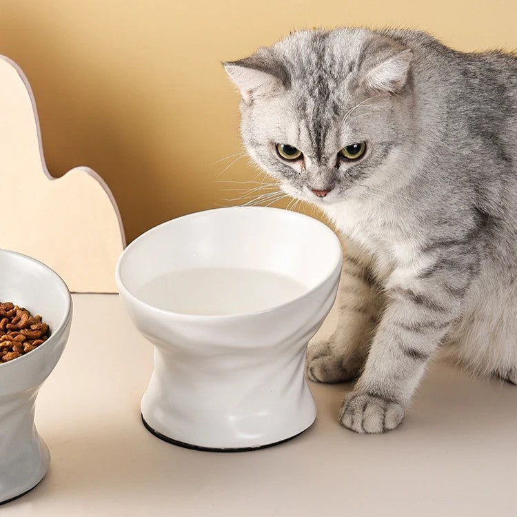 Rynx | Raised Ceramic Cat and Small Dog Bowl