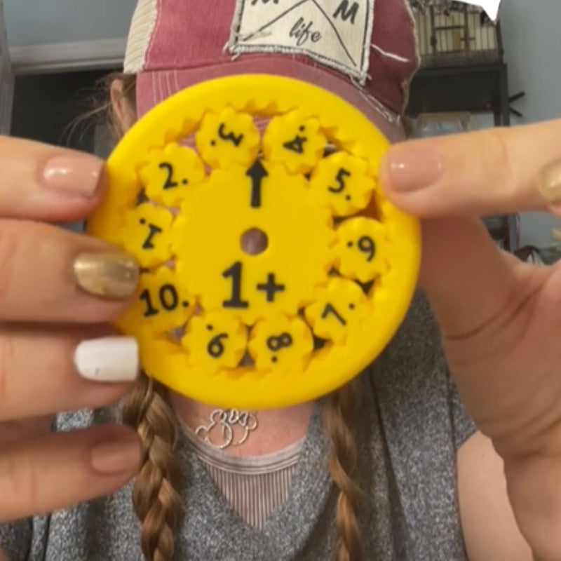 Rynx | Mathematical Facts Fidget Spinner