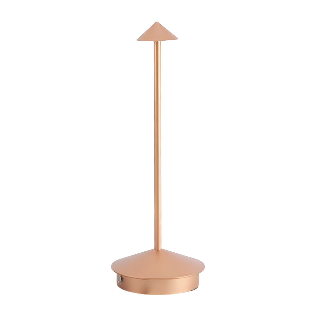 Rynx | LuminZen - Modern spherical desk lamp with RGB color changing and wireless charging