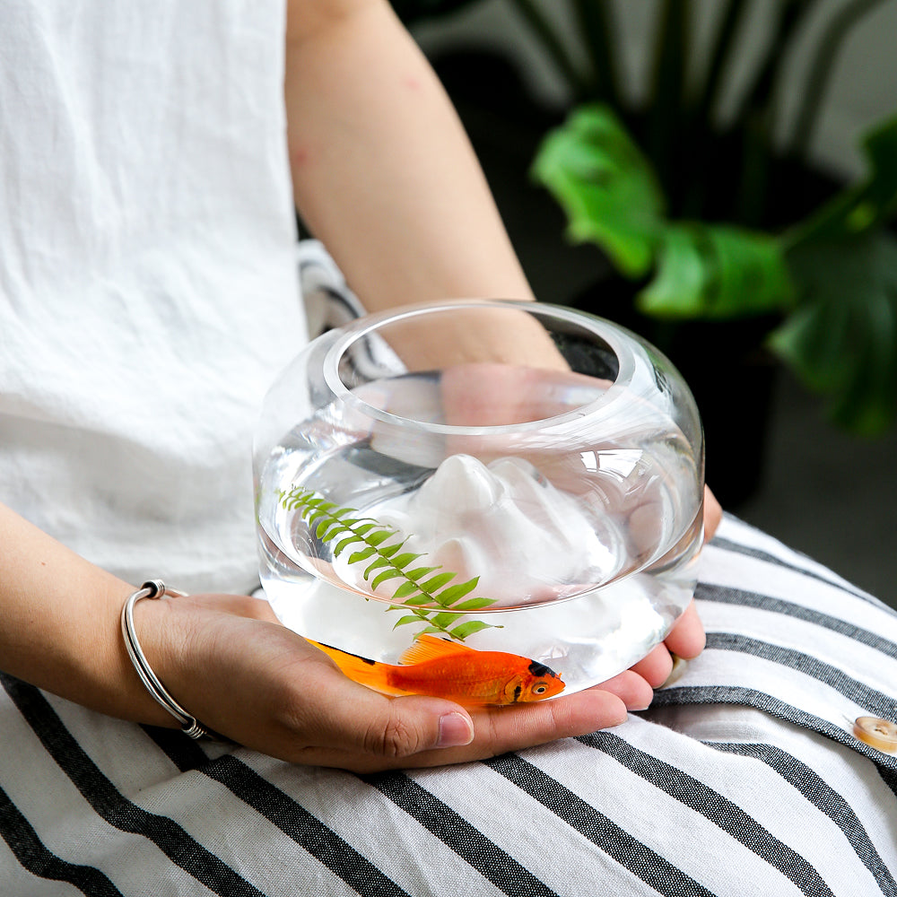 Rynx | Mini Glass Fish Bowl