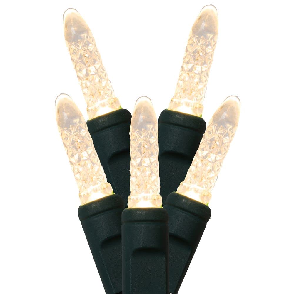 Rynx | Vickerman 70 Warm White M5 Faceted LED Lights on Green Wire, 4" Spacing X 24' Long Light String.