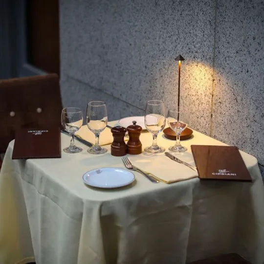 Rynx | Table LED Cordless – Pure Light