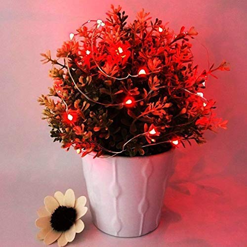 Rynx | Ninite Light Sources 24 Pack Red Battery-Operated Fairy Lights, 6.6Ft, 20 LEDs For DIY Events