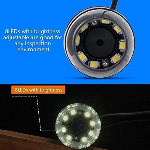 Rynx | Digital Microscope Electronic Magnifier