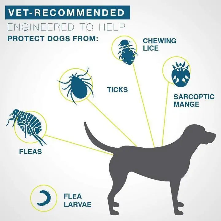 Rynx | Pro Guard Flea and Tick Pet Collar