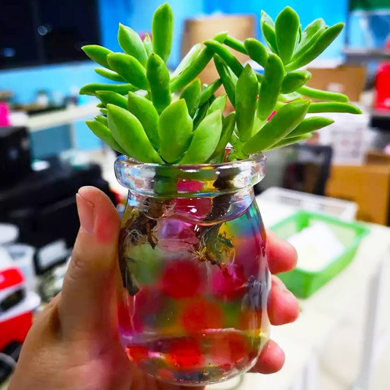 Rynx | Crystal bottom water pearl/Cute Christmas vase filling decoration