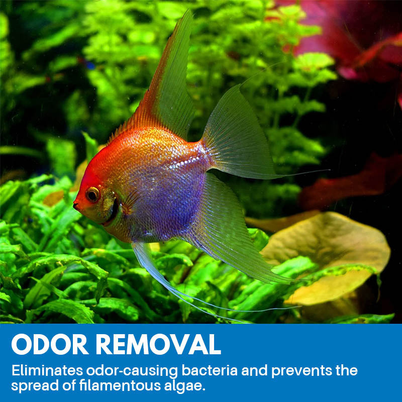Rynx | Aquarium Cleaning Powder