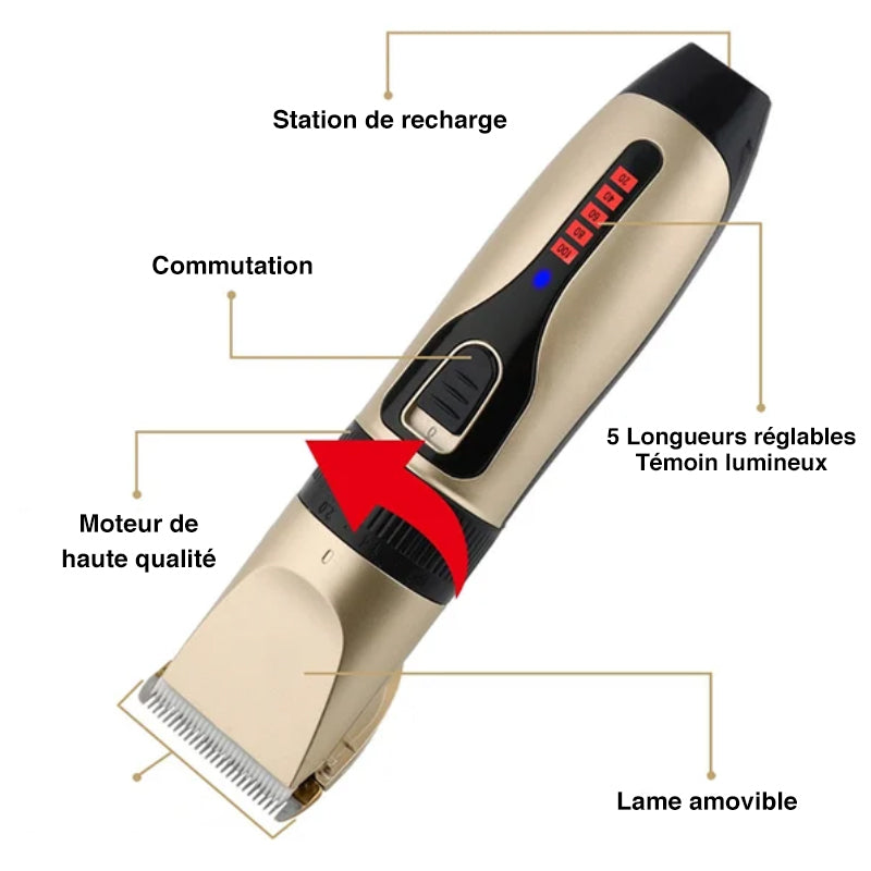 Rynx | Professional Pet Grooming Kit