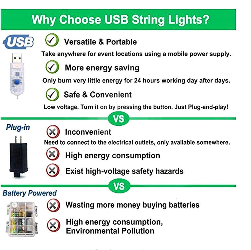 Rynx | Liyuanq 40 Led Photo Clip Light Strings, USB-powered Warm White Fairy Lights for Photo
