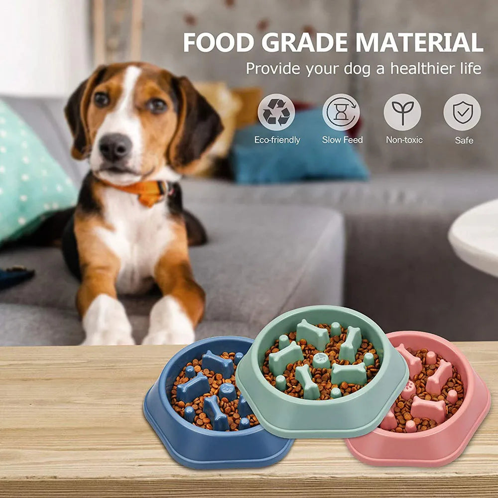 Rynx | Slow Feeder Dog Bowl