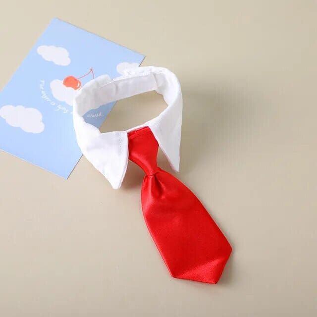 Rynx | formal collar
