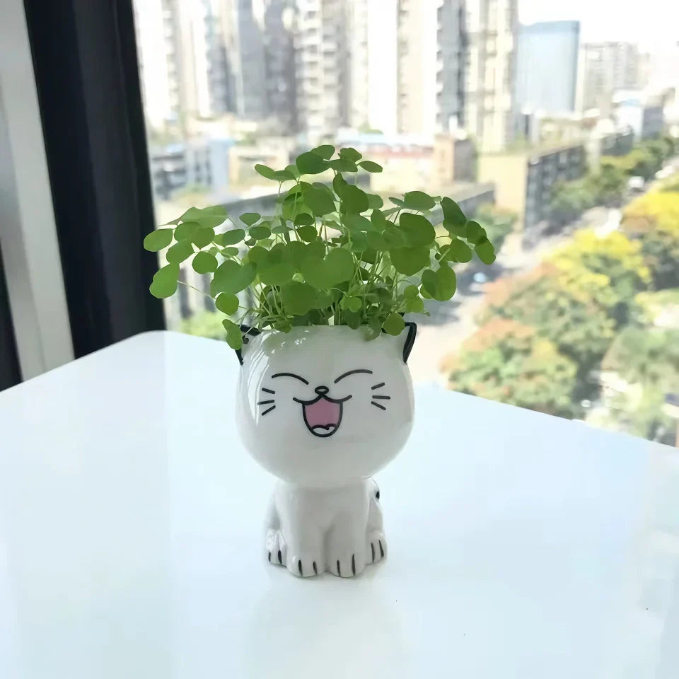 Rynx | Cute Mini Cat-Shaped Ceramic Planter Pot